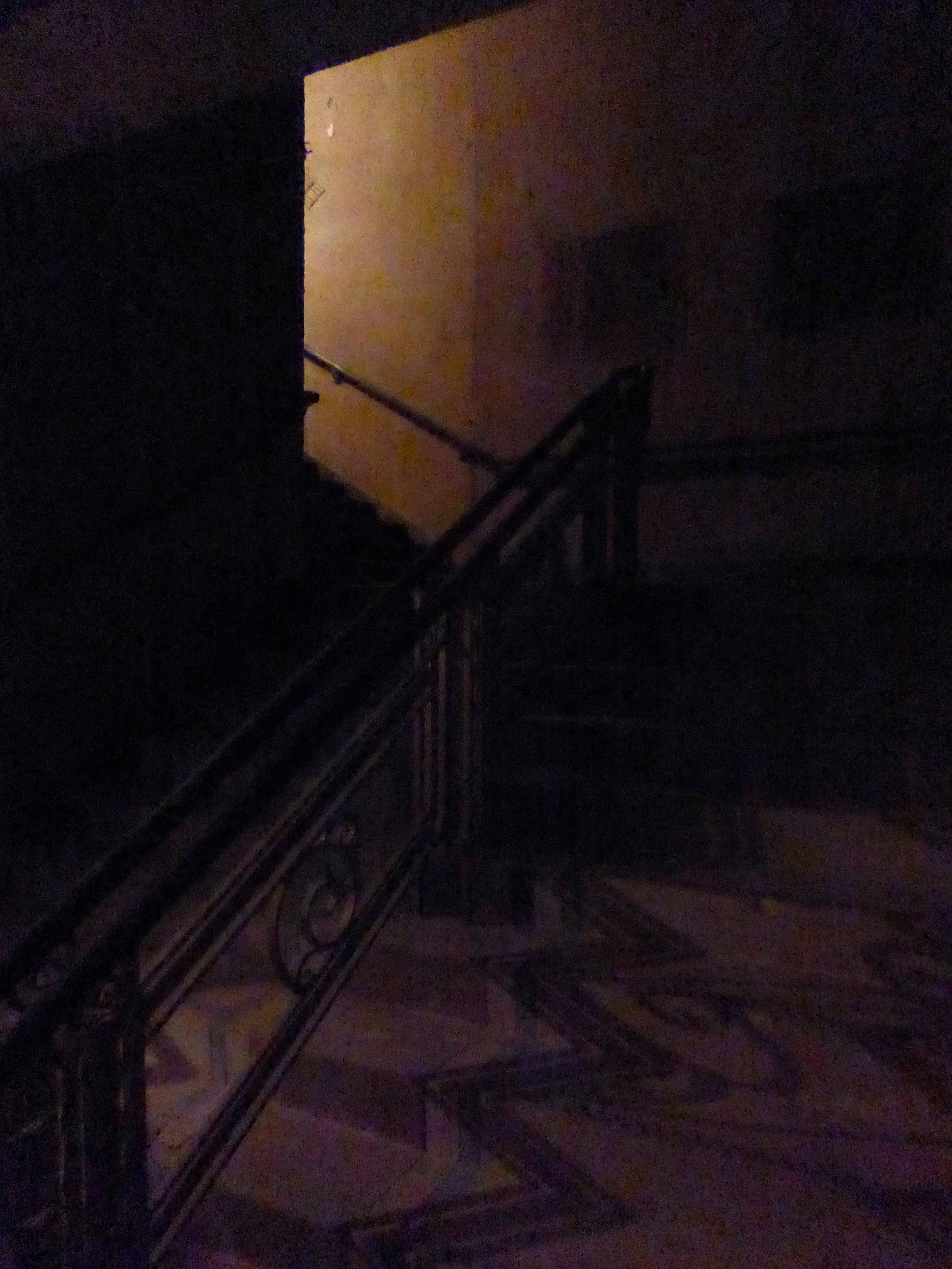 P1070805 copy