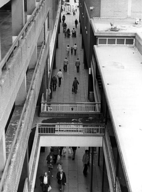 10342461_10153983511146600_7512830533940401704_n