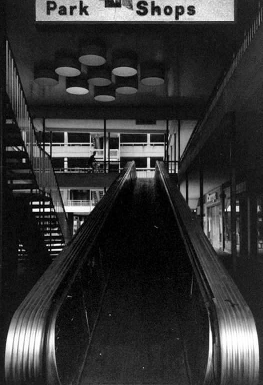 10385434_10153983511291600_4613412642380719745_n