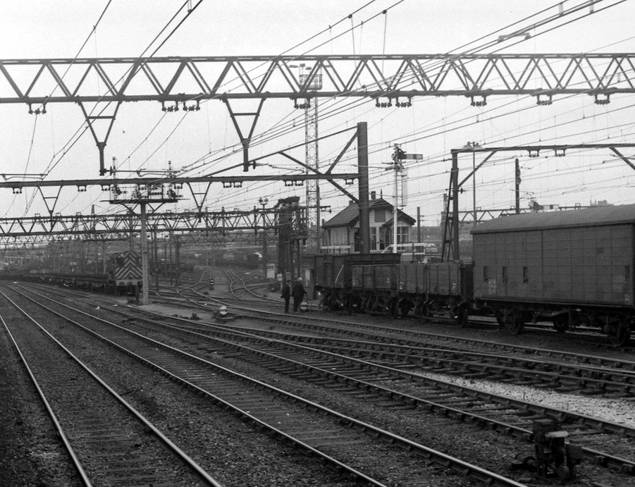 8447198675_dde8d8204a_b