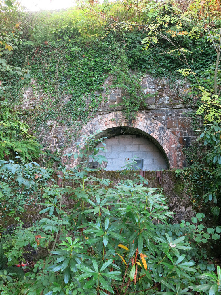 17582047479_7ca9f17a00_b