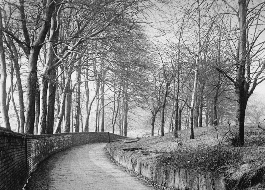 Screen Shot 2018-05-27 at 06.12.10